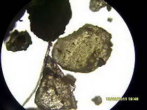 mineral slurry dispersion homogenization