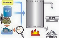 Интенсификация производства спирта из пшеницы